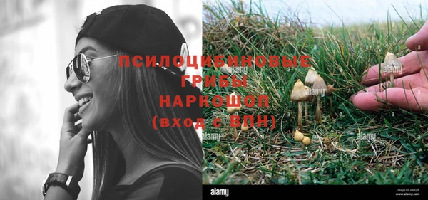 героин Лагань