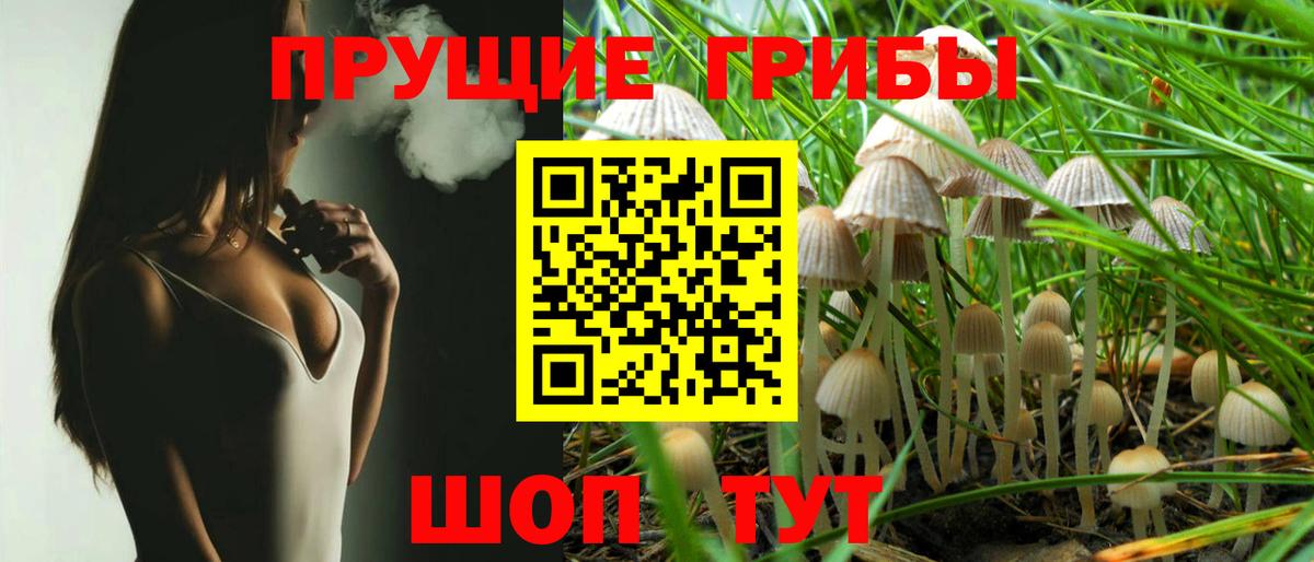 Галлюциногенные грибы MAGIC MUSHROOMS  Псилоцибиновые грибы Psilocybine cubensis  купить наркоту  Борисоглебск  Вход с VPN 